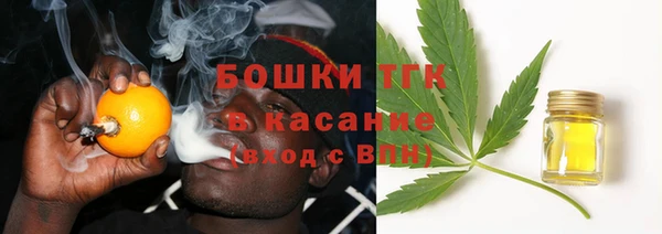 индика Абдулино