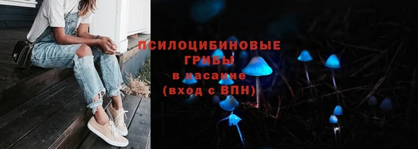 марихуана Абаза