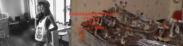 кокс Абинск