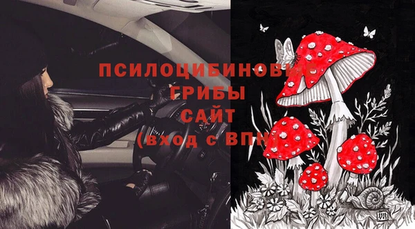 марихуана Абаза