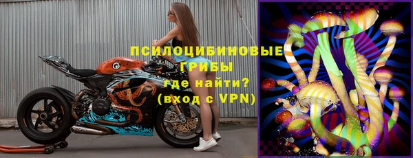 индика Абдулино