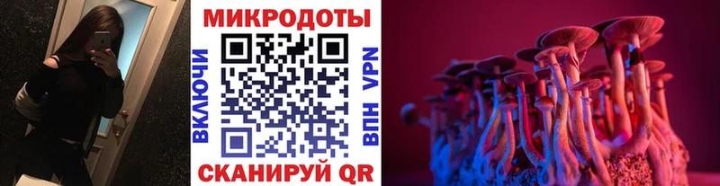 цены наркотик  Черногорск  Псилоцибиновые грибы прущие грибы 